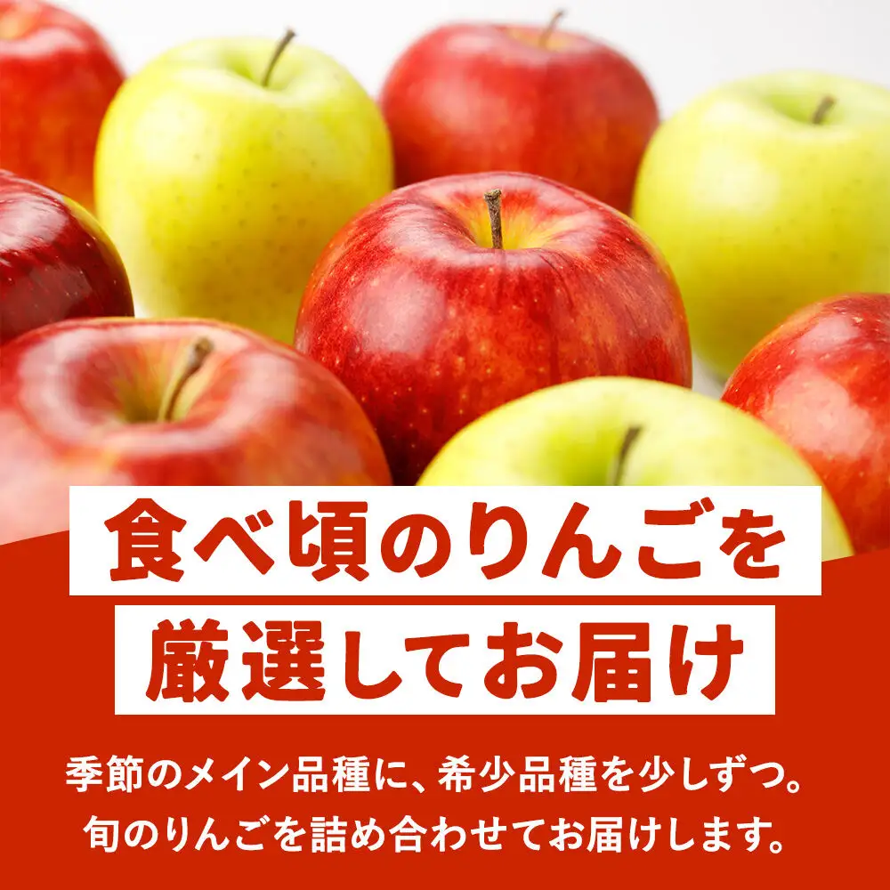 【27年3月クール便発送】りんご ねぷたりんご バラエティーセット【家庭用】約3kg【品種おまかせ】先行受付 家庭用 青森県 弘前市 果物 フルーツ 林檎 リンゴ くだもの 不揃い 規格外