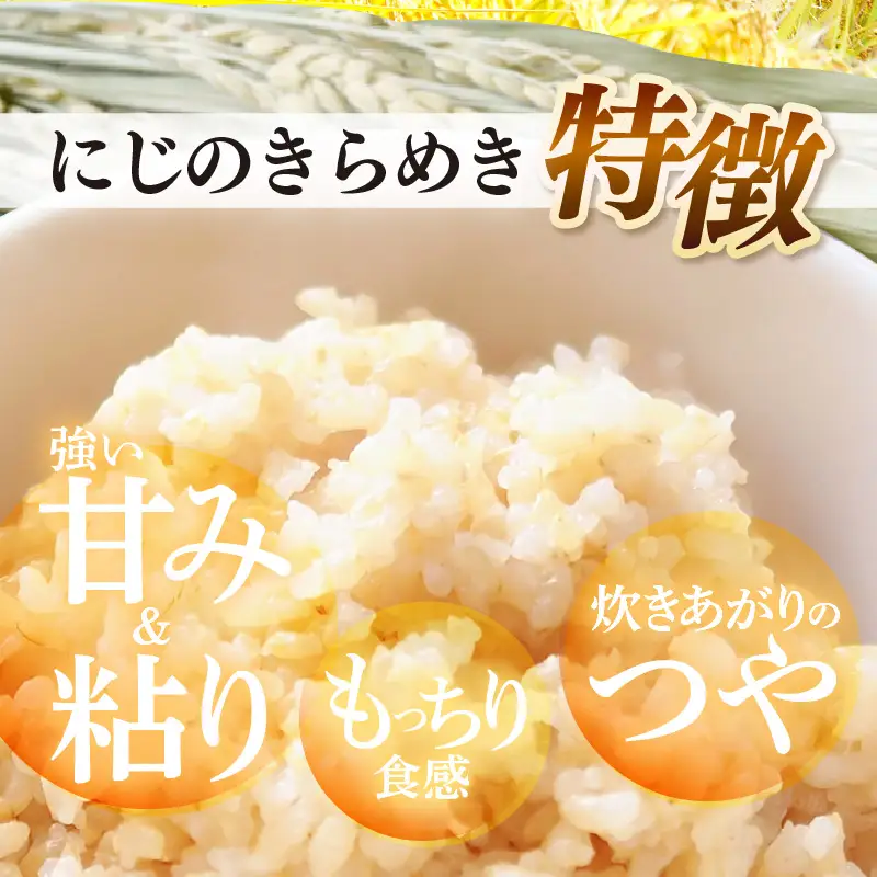 【先行予約】【令和8年産】定期便 ≪12ヶ月連続お届け≫ にじのきらめき うまみ玄米 5kg×12回 ／ 鮮度抜群 キロ 福井県あわら産 玄米 お米 ※2026年10月上旬より順次発送 [aw071-l006]