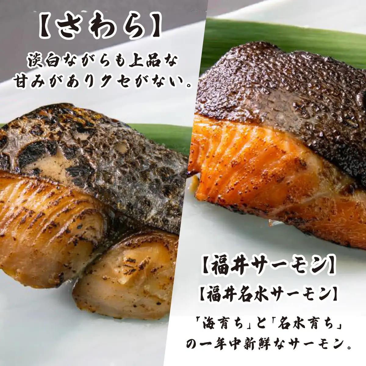 自家製 味噌漬け焼魚 おまかせ食べ比べセット（3～6種・計6切）[007-a008]