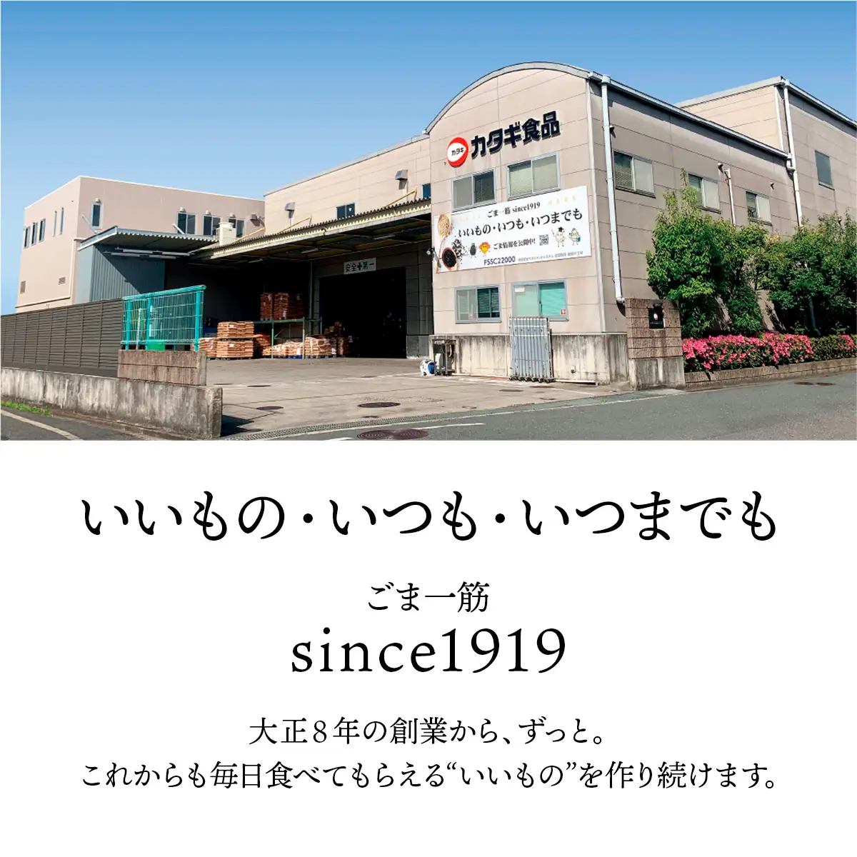 [カタギ食品] 有機ごま (白いりごま、白すりごま、金いりごま、金すりごま) 郵便受け配達だから受け取りがラク！ [0872f]