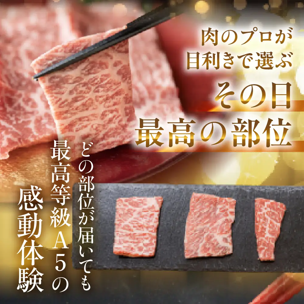 飛騨牛 A5 焼肉用 定期便 370g｜焼肉用