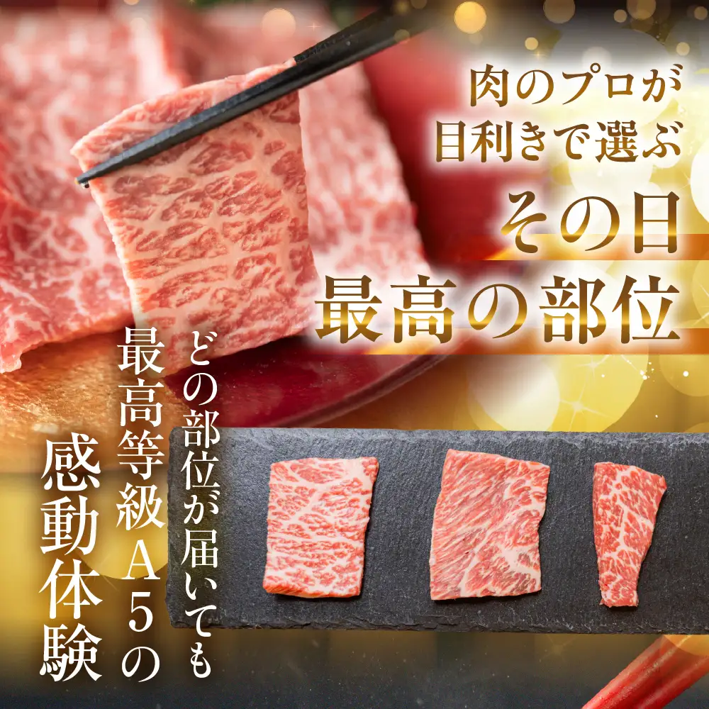 飛騨牛 A5 焼肉用 定期便 740g｜焼肉用