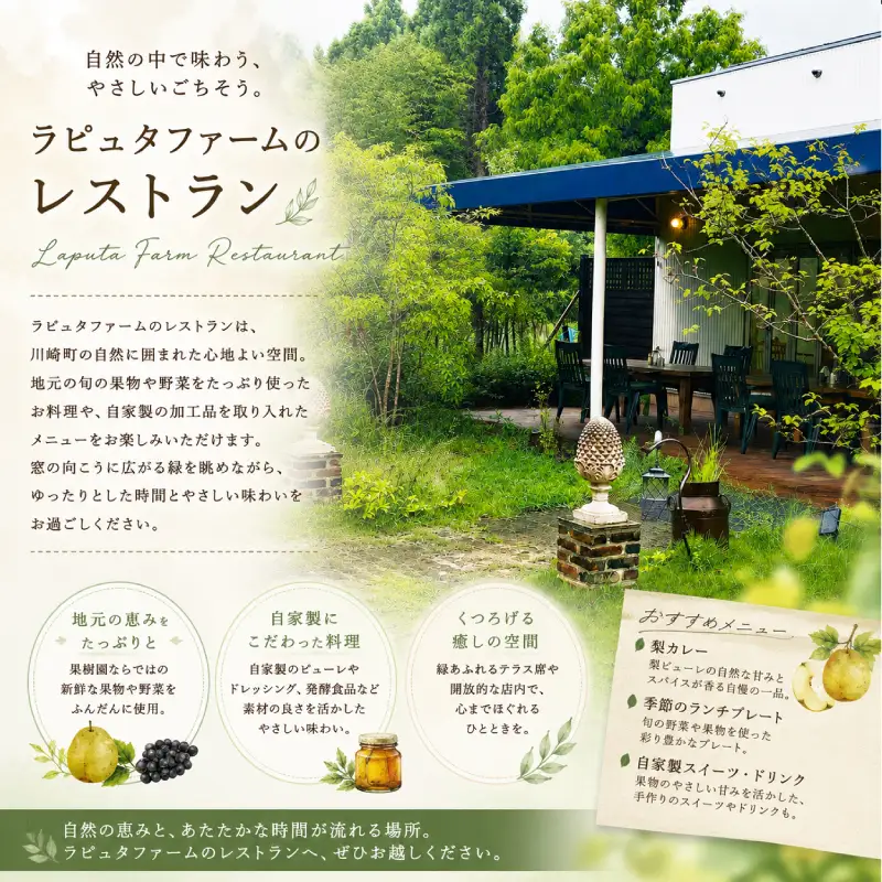 味噌漬け豆腐のオリーブオイル漬け3個セット｜RPT