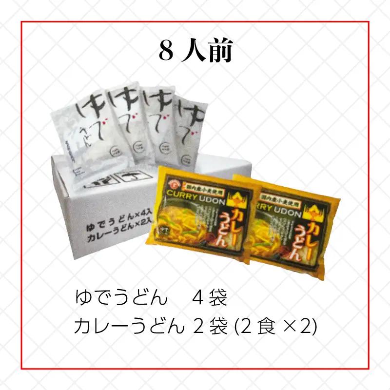 【定期便6回毎月】さぬきうどん ＆ カレーうどん セット 8人前 定期便 ６回 出汁 スープ付き