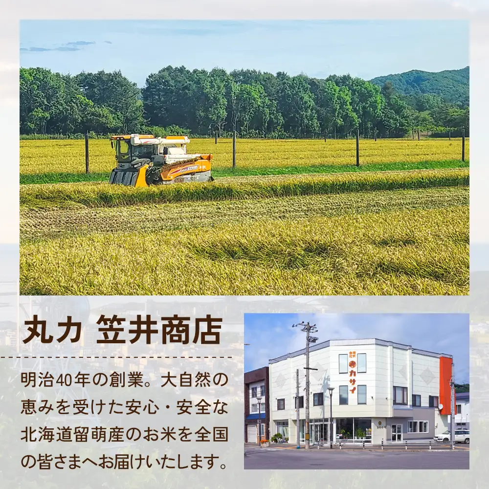 【新米予約】 令和8年産 ゆめぴりか 3kg 白米 北海道 留萌産