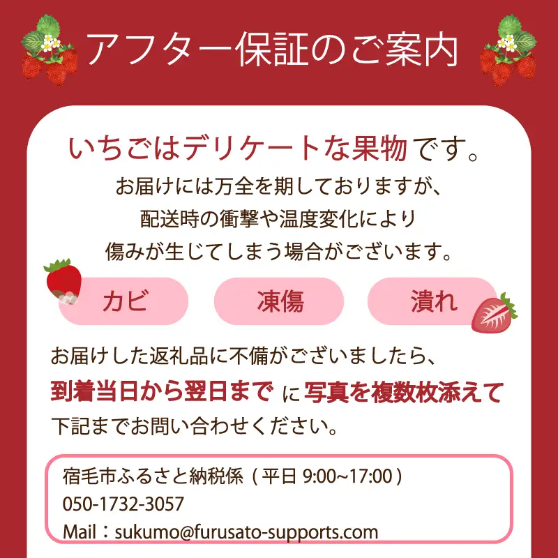 いちご 2パック（500g） 【2027年1-3月発送】