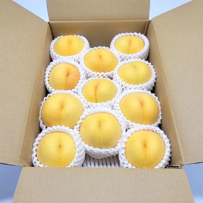 秋実り 硬めの黄桃 3kg 秀品 FSY-2747