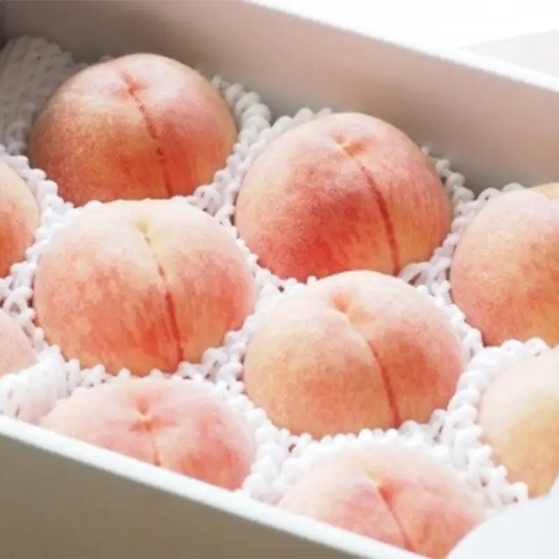 秋実り 硬めの白桃 3kg 秀品 FSY-2749