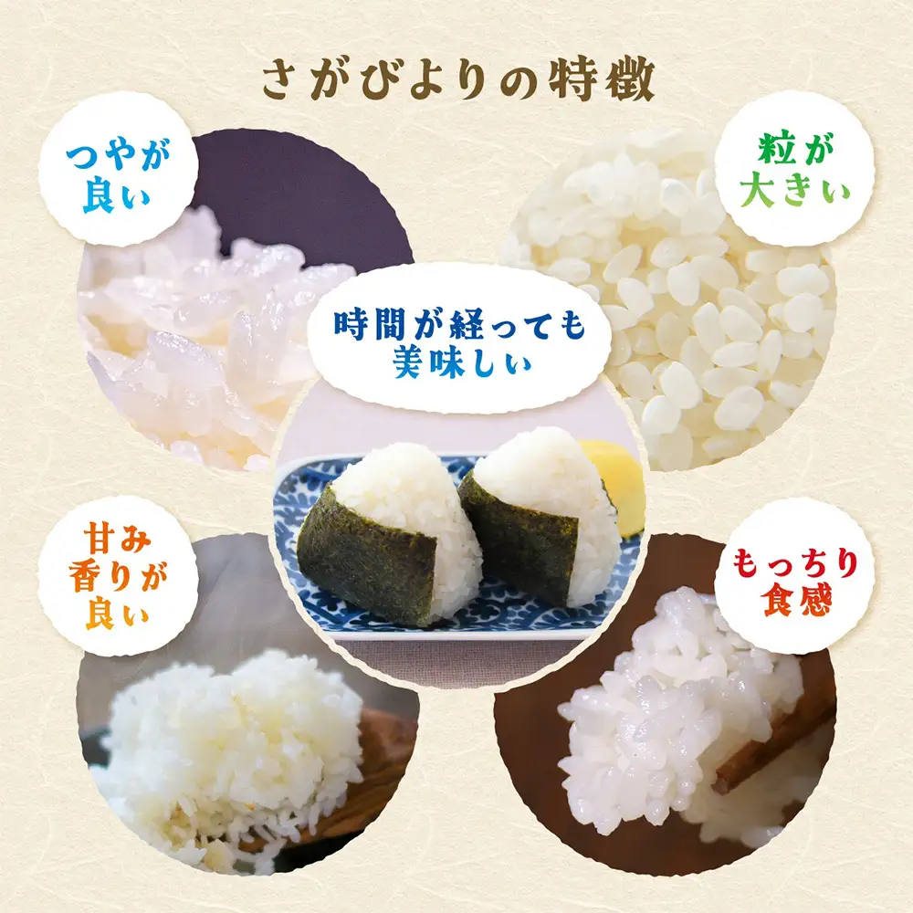令和7年産 佐賀県産 厳選 さがびより 白米 4kg（2kg×2袋）A-148 精米 お米