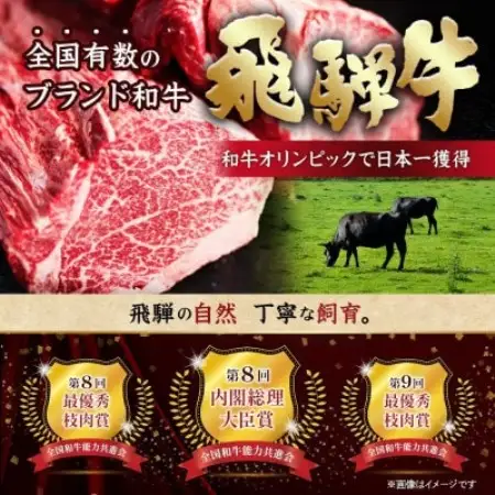 飛騨牛　霜降りブロック　約600g(約300g×2)【配送不可地域：離島】【1770438】