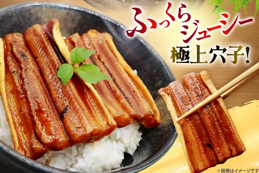 あなご 国産 蒲焼 カット 10パック 10人前 800g