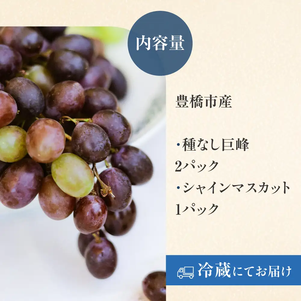 《先行予約》豊橋市産 ぶどう2種詰め合わせ 産地直送 種なし巨峰 シャインマスカット 食べ比べ