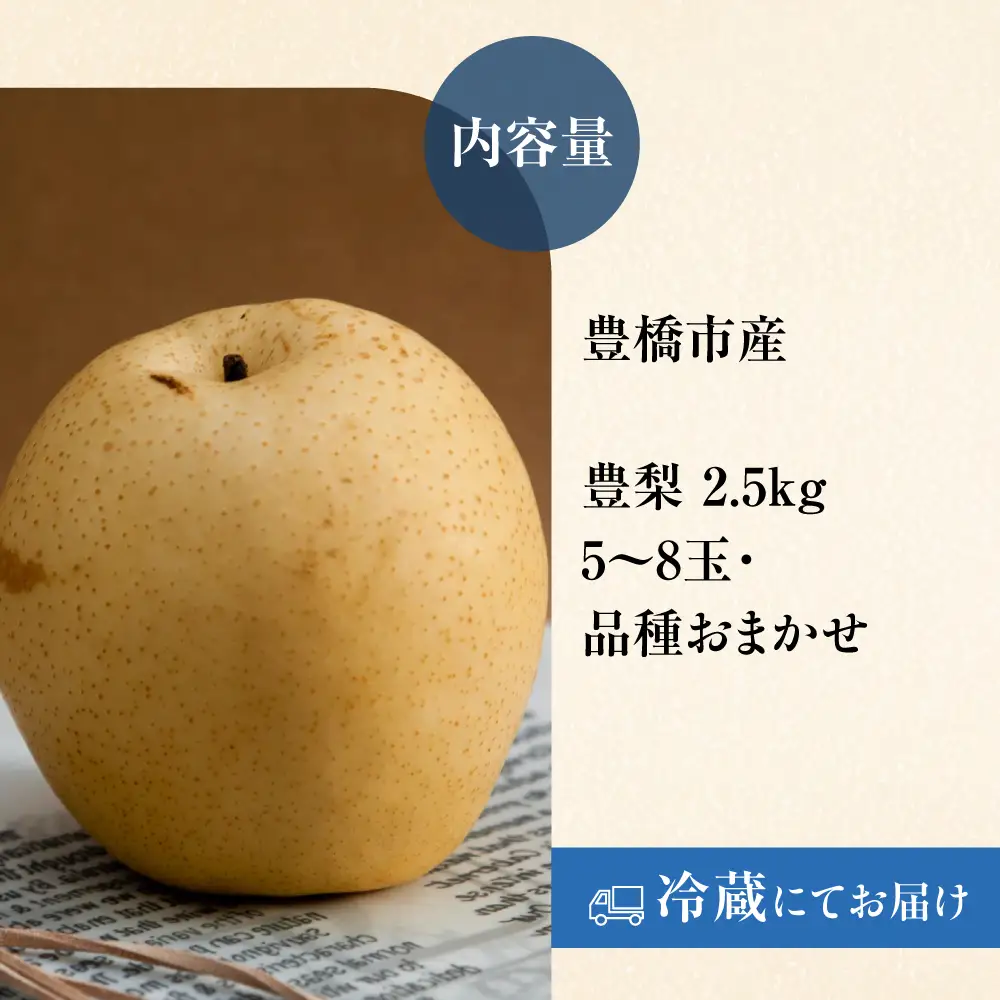 豊橋市産 梨 2.5kg（5～8玉・品種おまかせ） 産地直送 旬の品種 幸水 豊水 秋月 新高