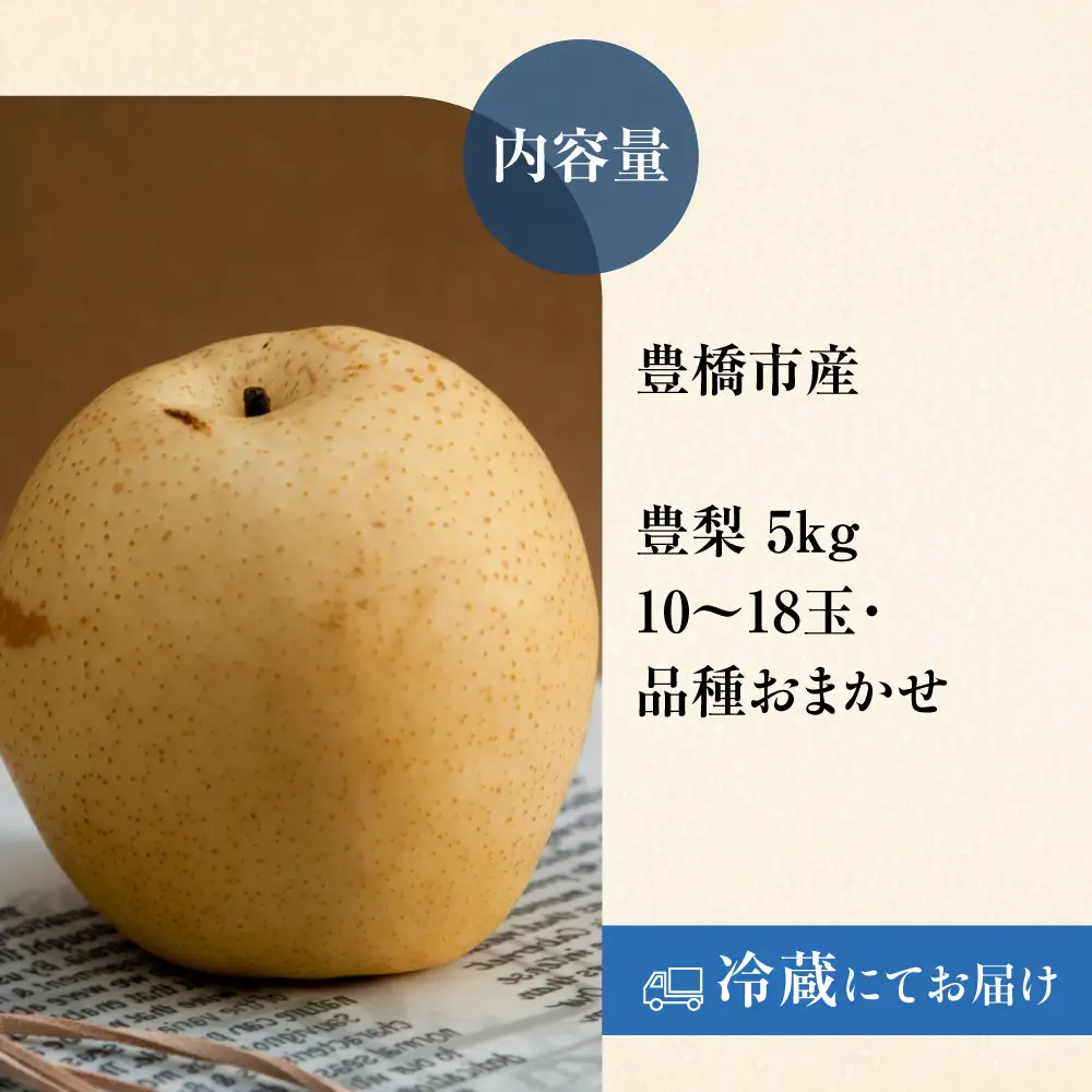 豊橋市産 梨 5kg（10～18玉・品種おまかせ） 産地直送 旬の品種 幸水 豊水 秋月 新高