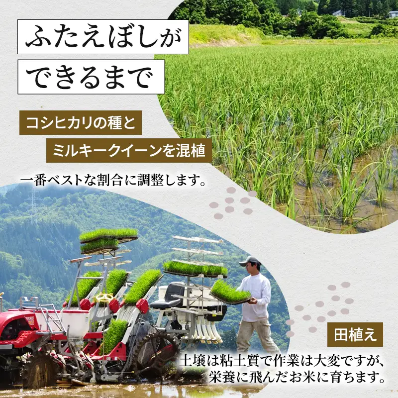 令和8年産 先行予約　魚沼産特別栽培ふたえぼし 精米5kg 米 こめ お米 コメ ふたえぼし 新潟県 魚沼市 魚沼 特別栽培米 