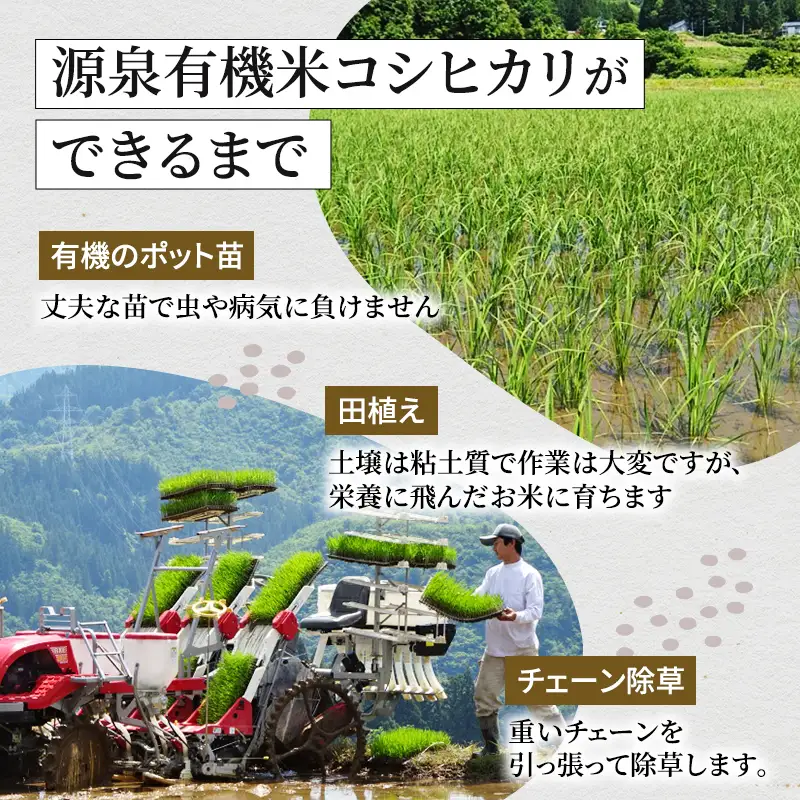 令和8年産 先行予約 山の一番水使用 源泉有機米コシヒカリ 精米5kg 米 こめ お米 コメ こしひかり 新潟県 魚沼市 魚沼 魚沼産 