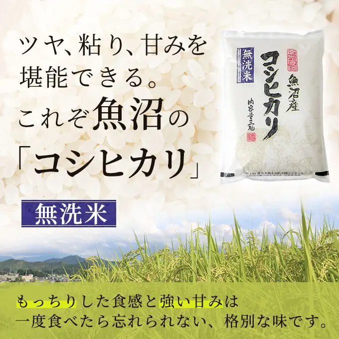 【先行予約】令和8年産 無洗米 コシヒカリ 9kg 米 白米 お米 魚沼産コシヒカリ 新潟米 新潟 魚沼市