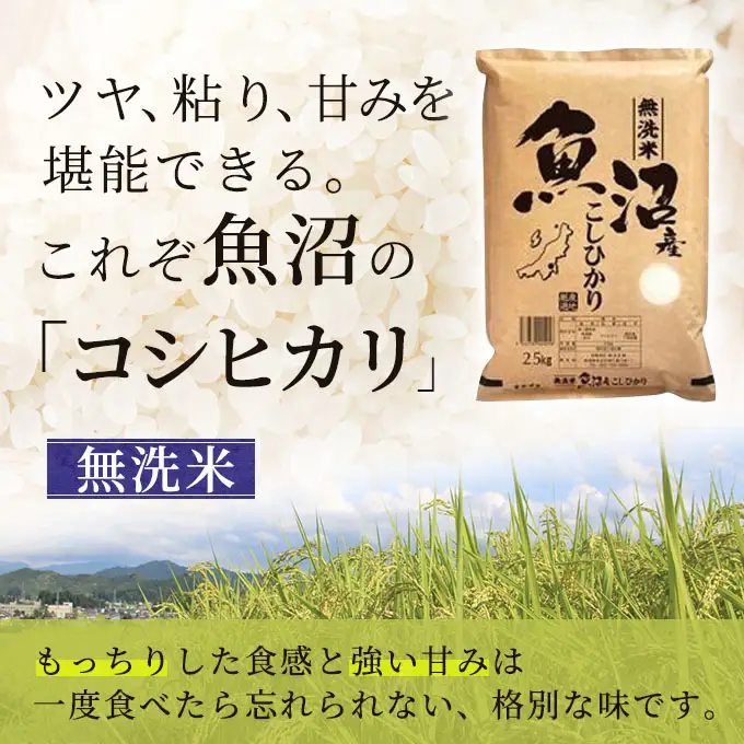【先行予約】令和8年産 雪室貯蔵 無洗米 お米マイスター厳選 魚沼産 コシヒカリ 1等米 2.5kg　米 こしひかり 白米