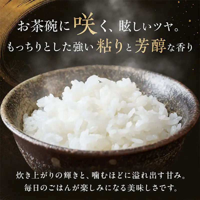 【令和8年産 先行予約】 魚沼産コシヒカリ 精米 30kg（5kg×6）