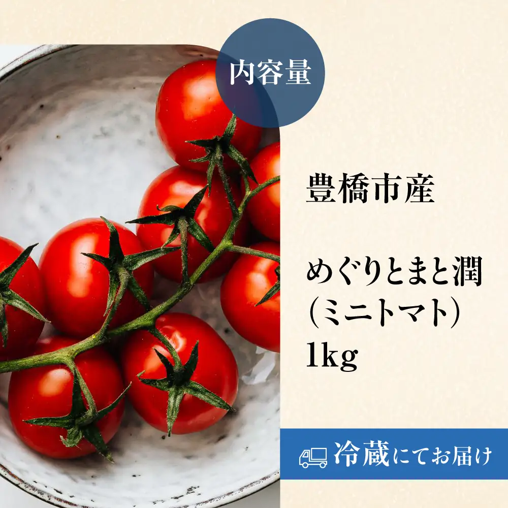 《先行予約》豊橋市産 めぐりとまと潤（ミニトマト）1kg 産地直送