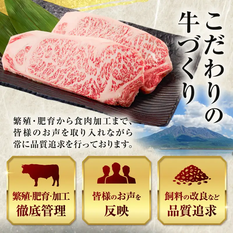 北さつま牛 サーロイン ブロック K137-007 肉 お肉 牛肉 黒毛和牛