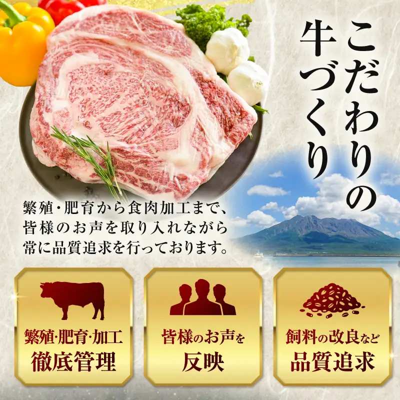 北さつま牛 リブロース ブロック K137-009 肉 お肉 牛肉 黒毛和牛