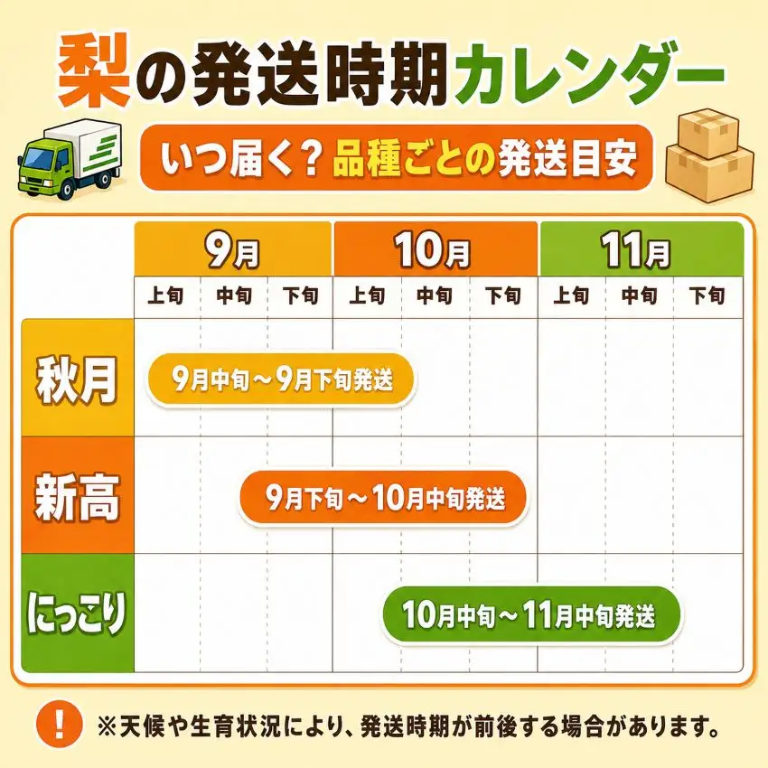 梨 秋月 あきづき 秀品 3kg | 2026年9月発送 先行予約 栃木県共通返礼品 栃木県産 矢板市