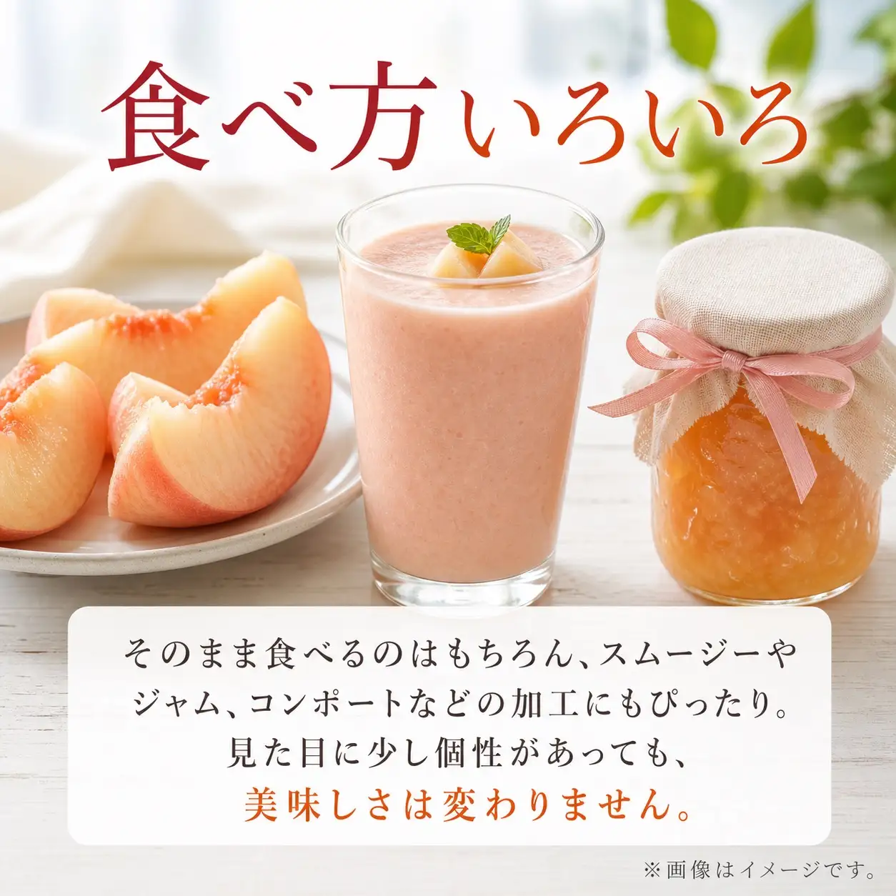 【ご家庭用訳あり】紀州和歌山産の桃　約1.8kg【2027年7月中旬頃～8月中旬頃順次発送予定】/ もも くだもの フルーツ 【uot873A】
