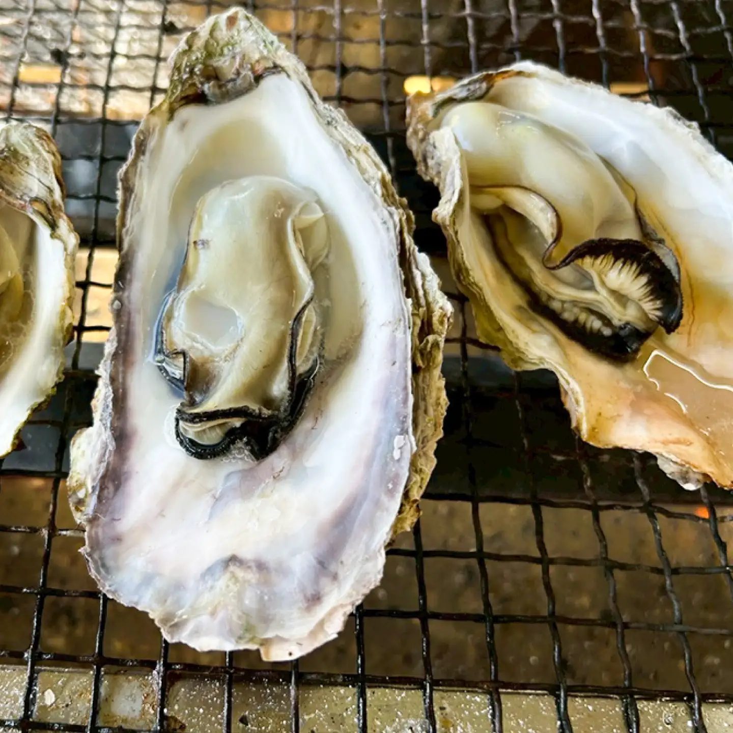 糸島カキのしぐれ煮 3個セット 糸島市 / カキ小屋 住吉丸[ACJ015]