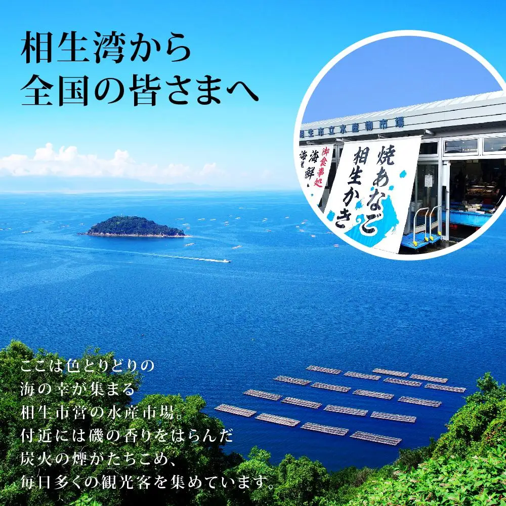 魚稚がお勧めする手造りソフト干物・みそ漬セット　5～7パック