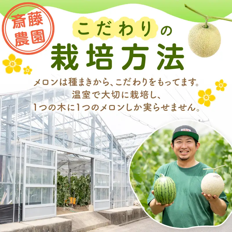 アールスメロン(マスクメロン) 2玉 3kg程度 糖度13度程度≪家庭用≫【配送不可地域：北海道・青森・秋田・岩手・沖縄・離島】【1354】
