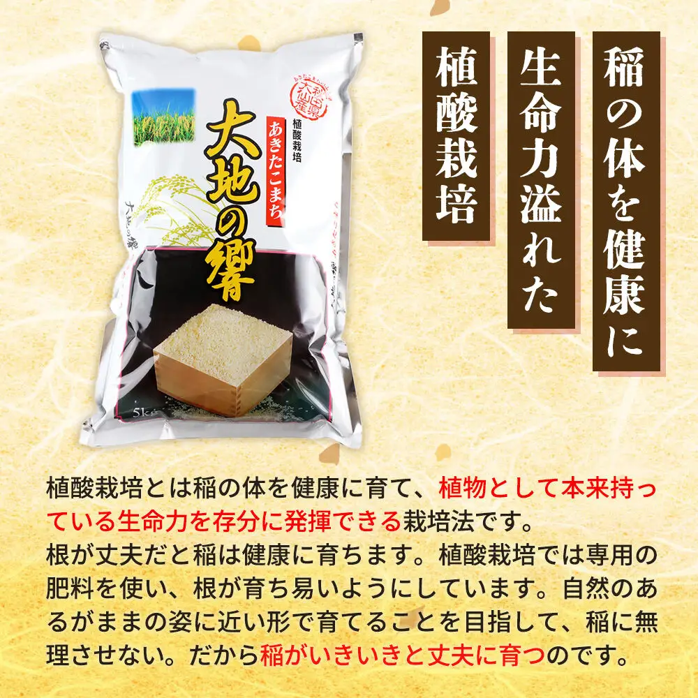 ＜令和8年産 新米受付＞《定期便6ヶ月》米 植酸栽培 あきたこまち「大地の響」5kg（5kg×1袋）【白米】精米 秋山商店