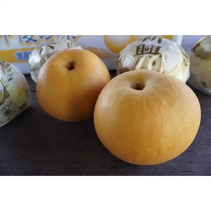 京丹後産 新興梨 5kg｜梨