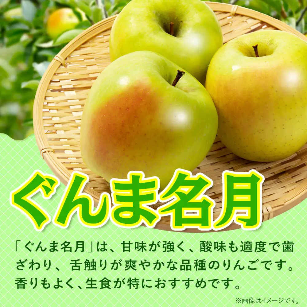 【27年1月発送】りんご ぐんま名月【贈答用】約3kg 先行受付 青森県 弘前市 果物 フルーツ 林檎 リンゴ くだもの ギフト 贈り物
