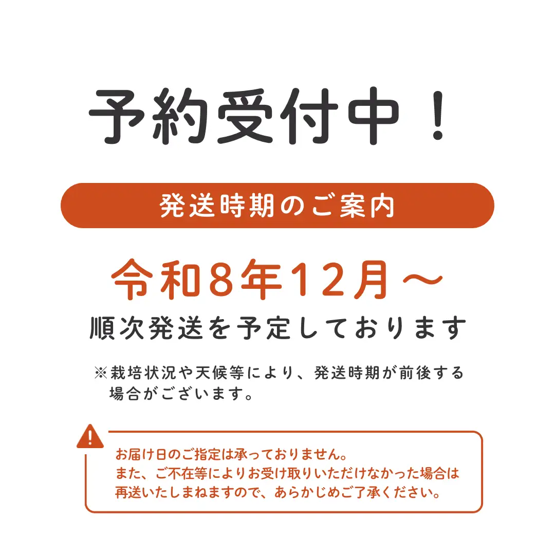 埼玉県吉見町 吉見いちご【特撰】品種おまかせ 3L規格以上・2パック｜産地直送
