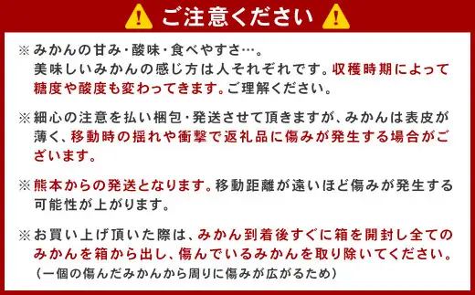 ＜ R8年熊本地震復興支援 ＞＜2027年1月発送予定＞【不揃い】選べる 河内 塩屋みかん 4kg 青島みかん 熊本 国産 みかん 蜜柑 ミカン 果物 くだもの フルーツ