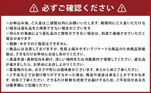 ＜ R8年熊本地震復興支援 ＞トマト S ～ M玉入り （ 約4kg ） とまと 野菜 やさい 新鮮 サラダ 国産 熊本県産 冷蔵