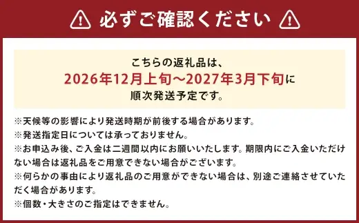 ＜ R8年熊本地震復興支援 ＞塩トマト S ～ M玉入り （ 約4kg ） トマト とまと 野菜 やさい 塩 季節限定 国産 熊本県産 冷蔵 【 2026年12月上旬～2027年3月下旬まで順次発送予定 】