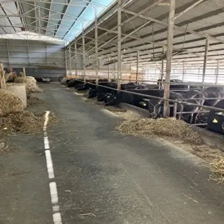【毎月定期便】【小町の里・幸牛】黒毛和牛ブロック肉 550g×2　計1.1kg全3回【配送不可地域：離島】【4090821】