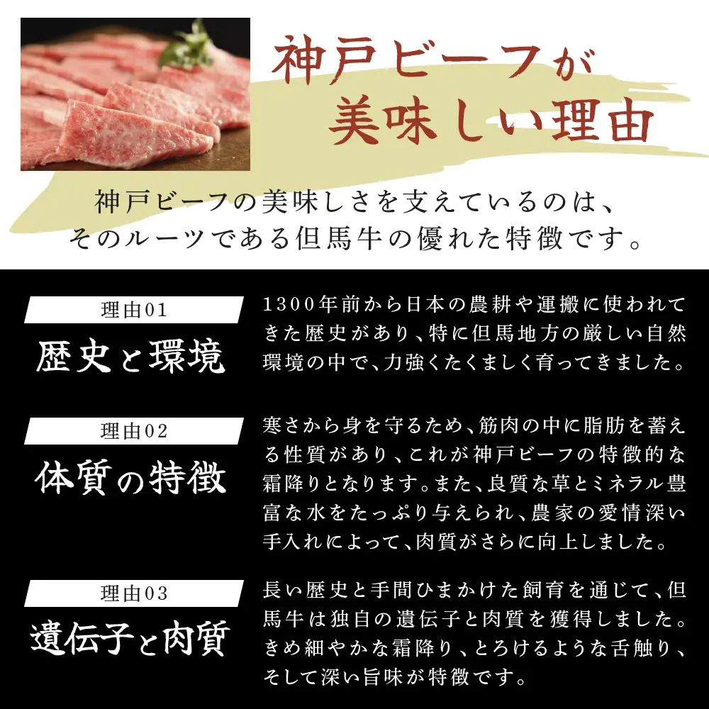神戸牛 サーロインステーキ 焼肉 カルビ お試し 神戸牛