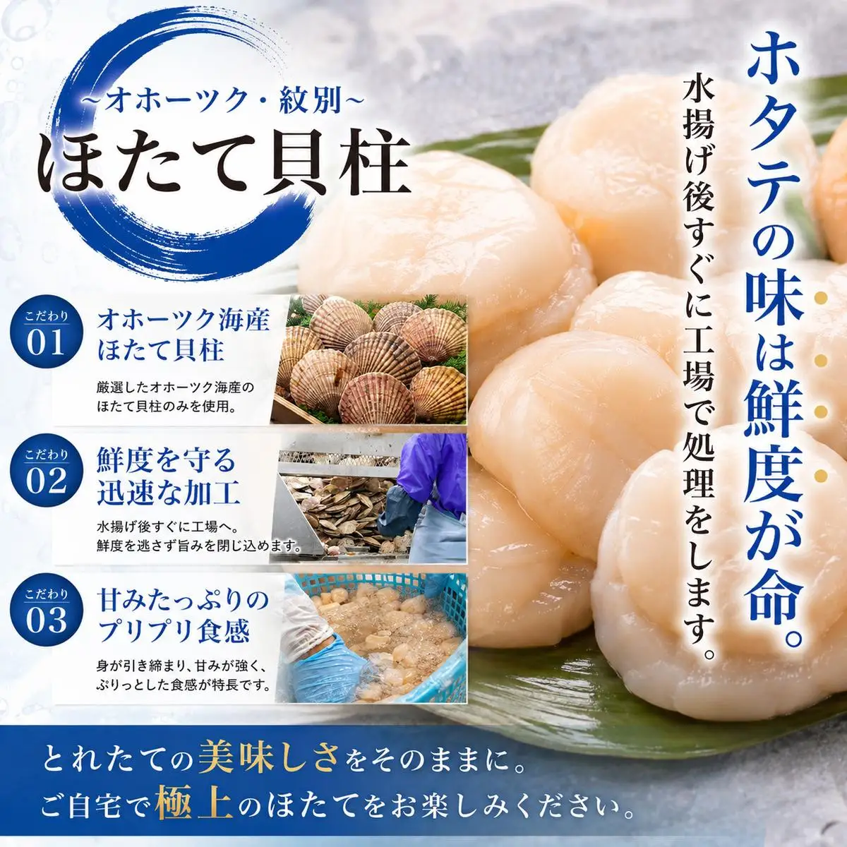 34-48 紋別一等～筋肉ホタテ　1.1kg