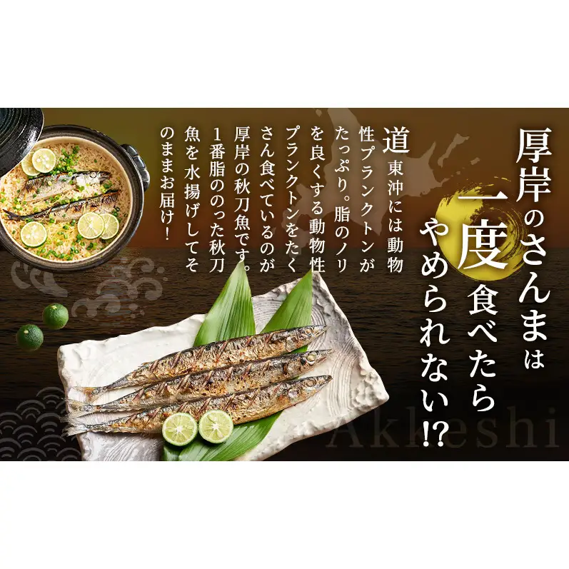 先行予約 産地直送 鮮度抜群 北海道 厚岸産 刺身用 鮮さんま 5本 サンマ 秋刀魚 さんま 鮮魚 魚介類 海産 生さんま