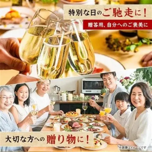 【毎月定期便】飛騨牛　厳選　定期便　計5.1kg　すき焼き・しゃぶしゃぶ・焼肉・BBQ用 全12回【配送不可地域：離島】【4090777】