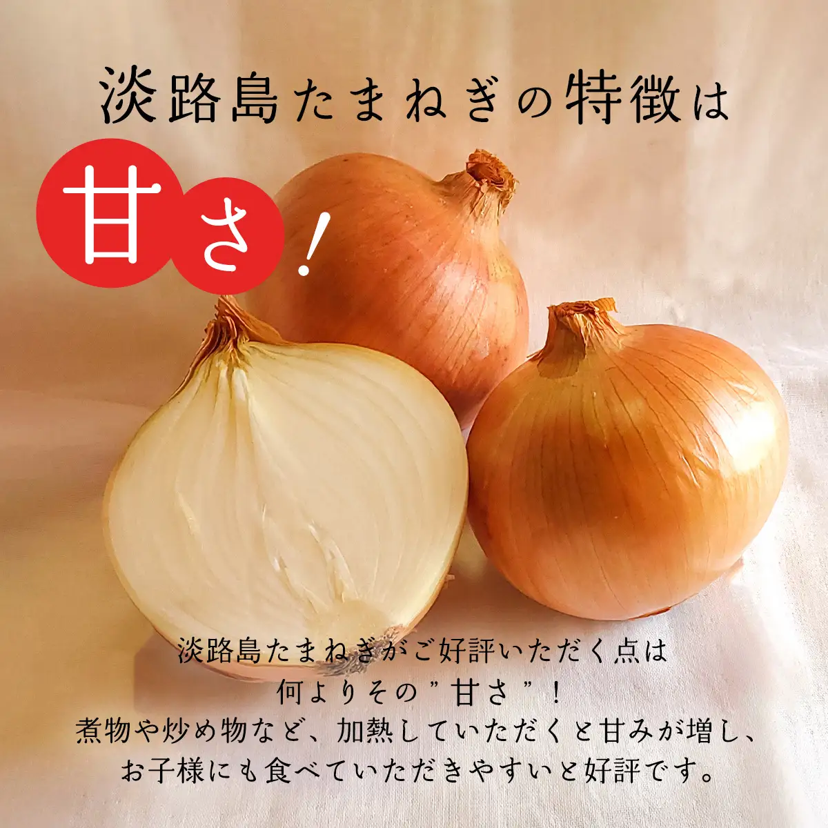 【あさひサンファーム】【Mサイズ 10kg】ひょうご安心ブランド★特別栽培★淡路島たまねぎ