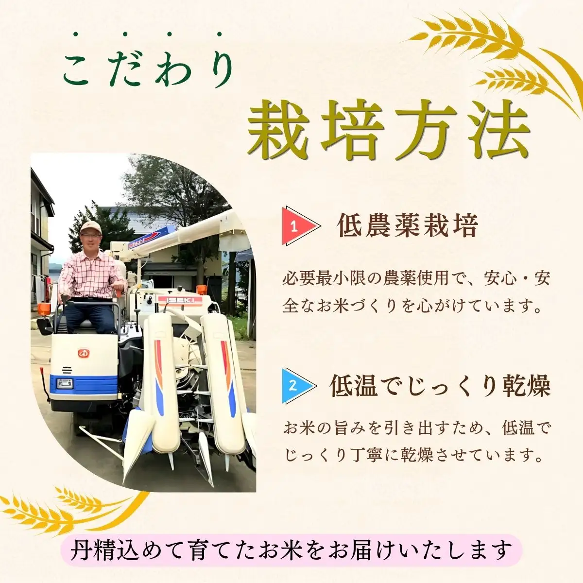 【新米】　たかちゃんのお米（コシヒカリ） 5kg サイクルファーム 