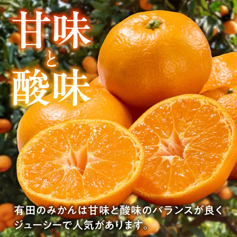 【3回定期便】【2026年先行予約】【ご家庭用】旨味凝縮有田みかん 約5kg（SS・Sサイズ）【湯浅町】_AT60-T01