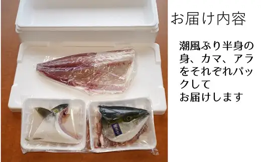 うすき産潮風ぶり・半身（約1.5kg弱）[冷蔵] ブリ 鰤 ブリカマ アラ 魚 豊後水道 臼杵 着日指定