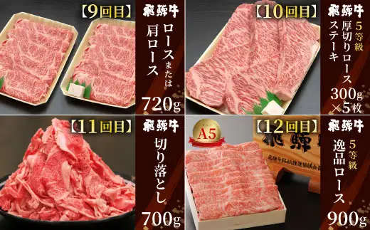 飛騨牛 満喫定期便 全12回 A5等級 すき焼き しゃぶしゃぶ ステーキ 焼肉 BBQ ロース 肩ロース ロースステーキ サーロインステーキ 切り落とし 贅沢 モモ カタ ギフト 12ヶ月 定期 おすすめ 人気 飛騨 牛 肉 和牛 黒毛和牛 ブランド牛 養老ミート