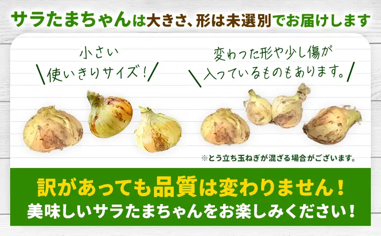 玉ねぎ 訳あり 節減対象農薬 当地比5割減 サラダ玉ねぎ (S-2Lサイズ) 10kg《3月下旬-4月下旬頃出荷予定》熊本県 葦北郡 津奈木町 篠原農園 野菜 たまねぎ 自然栽培