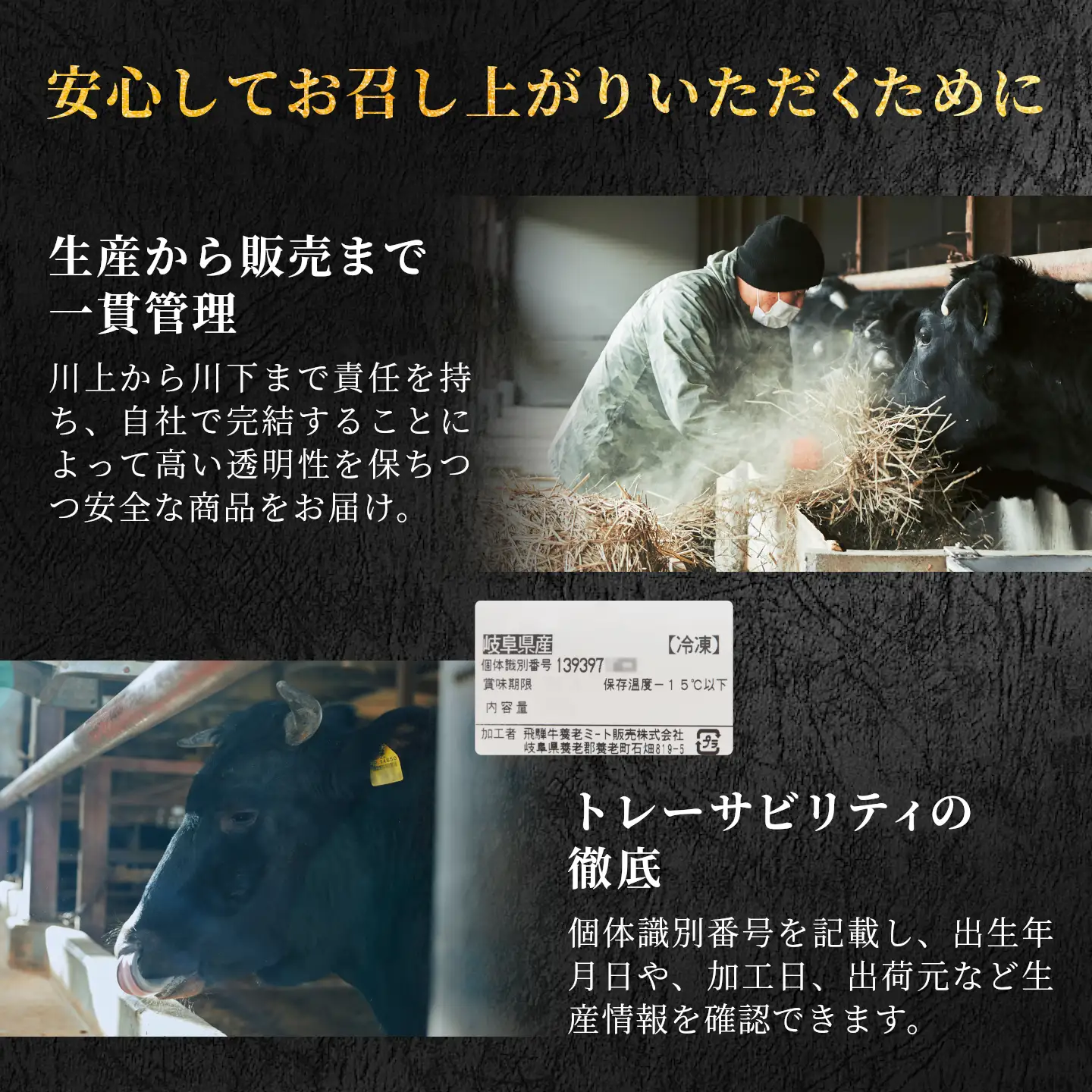 飛騨牛 赤身プレミアム定期便 全3回 すき焼き しゃぶしゃぶ ステーキ 焼肉 BBQ モモ カタ ヒレ 贅沢 贈り物 3ヶ月 定期 おすすめ 選べる 人気 飛騨 牛 肉 和牛 黒毛和牛 ブランド牛 養老ミート